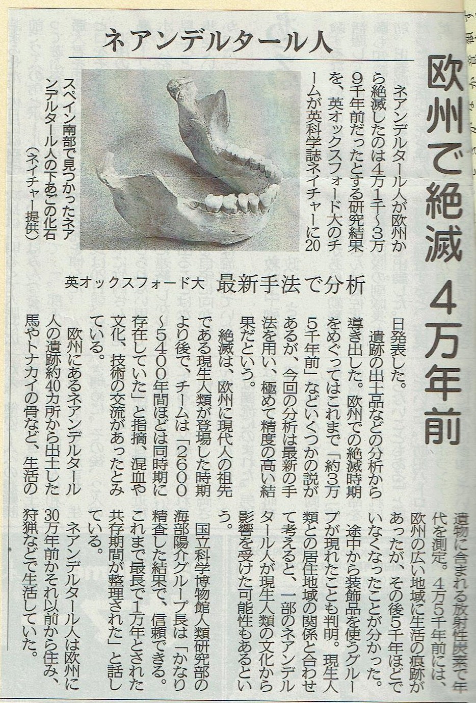 Ȗ{Ȗ{
