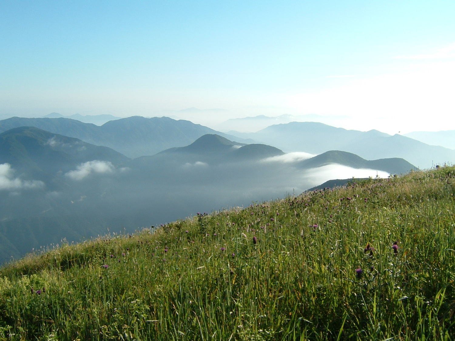 あんな本こんな本、ペスト、カミユ、伊吹山