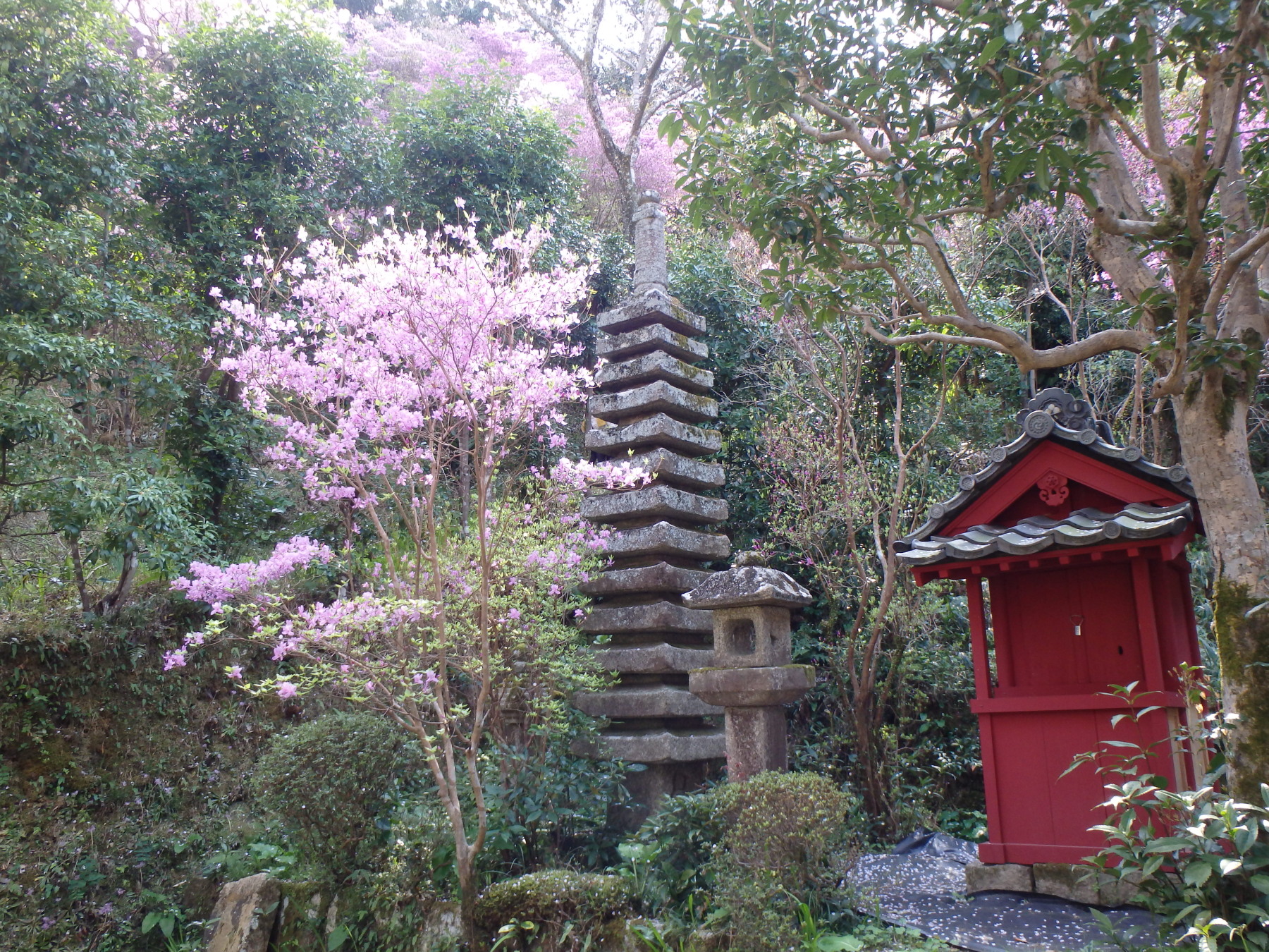 あんな本こんな本、読書感想、サイクリング、神童寺