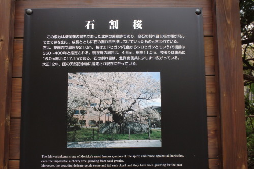 Ί