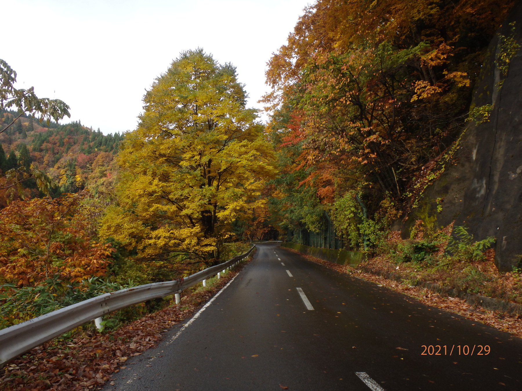 あんな本こんな本、サイクリング、読書感想、車旅、津軽街道