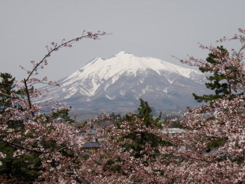 弘前城本丸から岩木山を望む