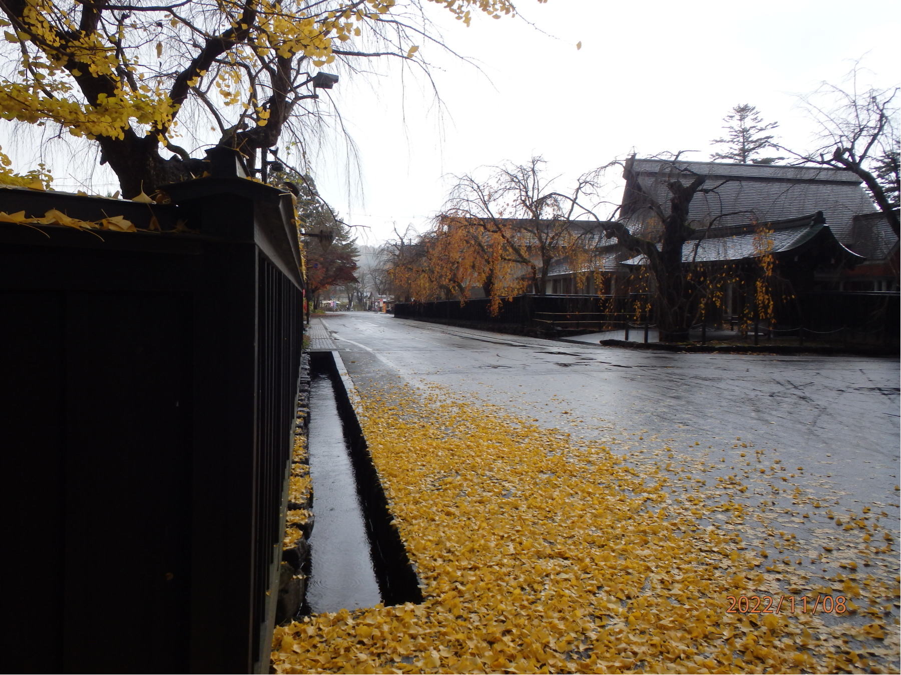 あんな本こんな本サイクリング、気ままな車旅、角館