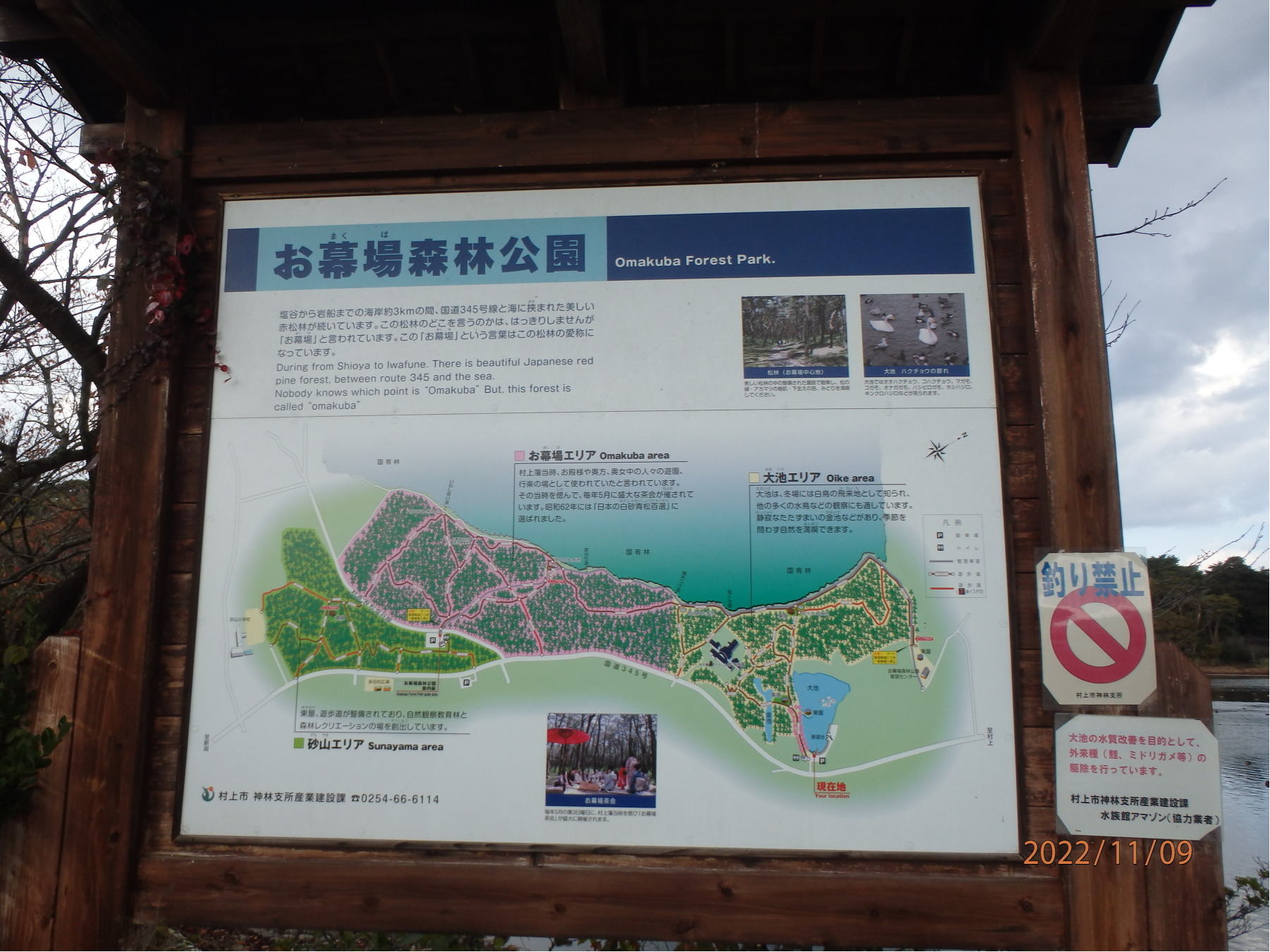 あんな本こんな本サイクリング、気ままな車旅、お幕場森林公園