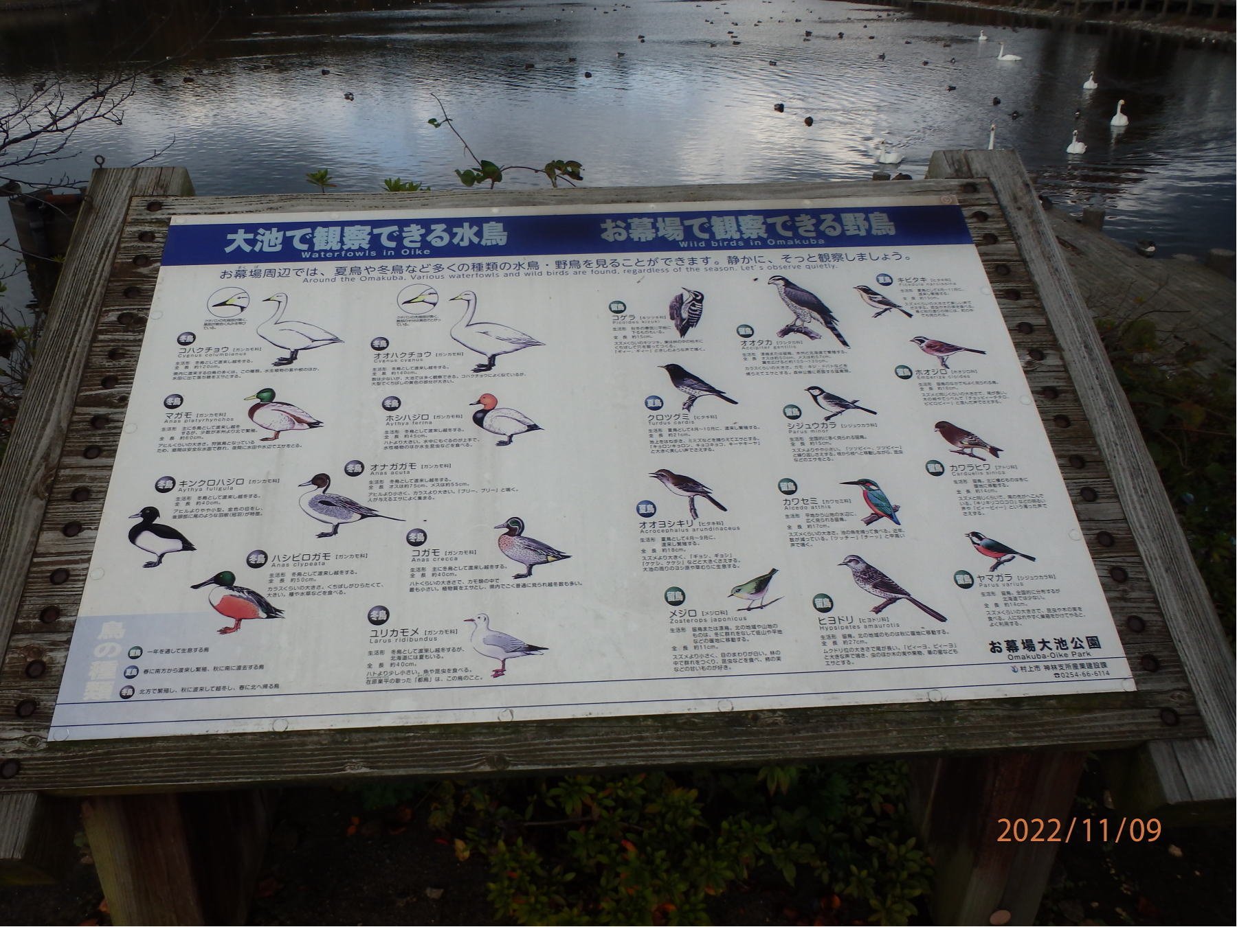 あんな本こんな本サイクリング、気ままな車旅、お幕場森林公園