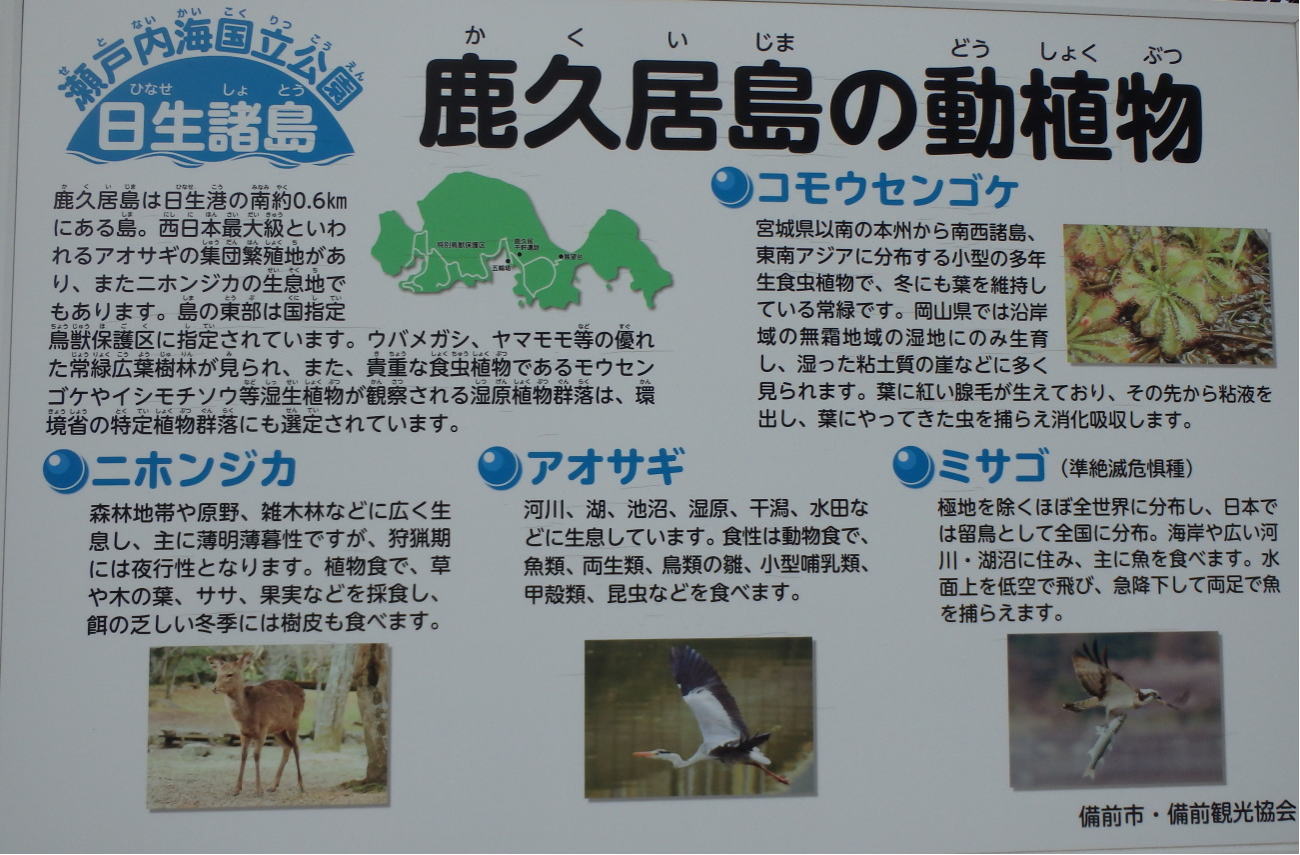 あんな本こんな本、車旅、瀬戸内のたりのたり、鹿久居島の動植物