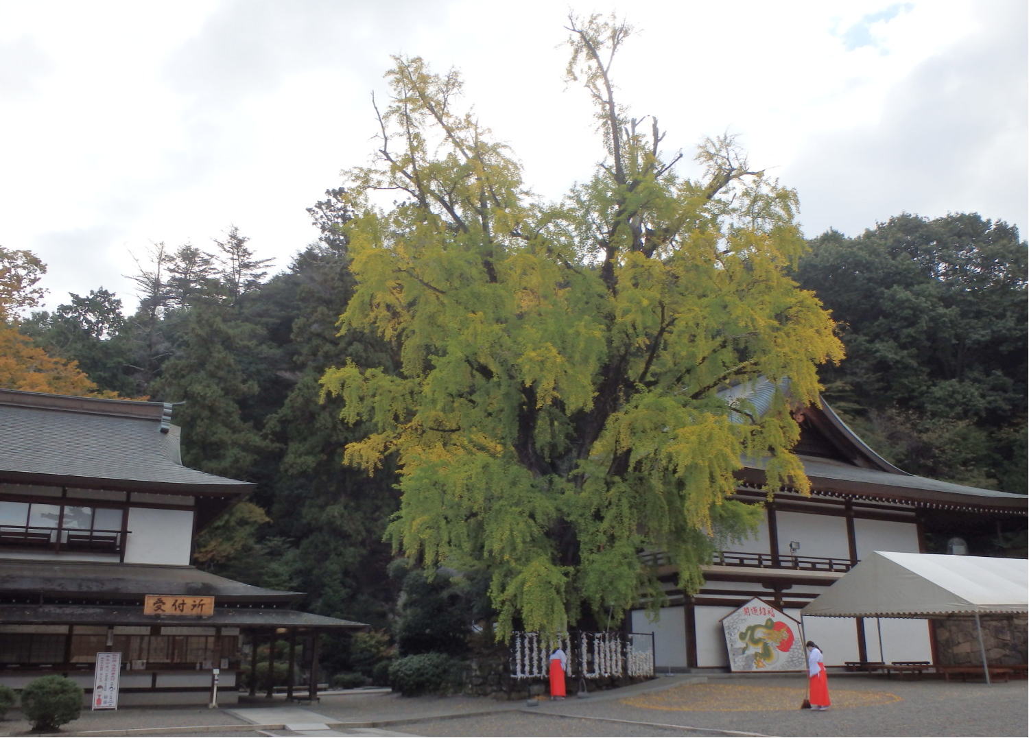 あんな本こんな本、車旅、瀬戸内のたりのたり、吉備津神社、桃太郎