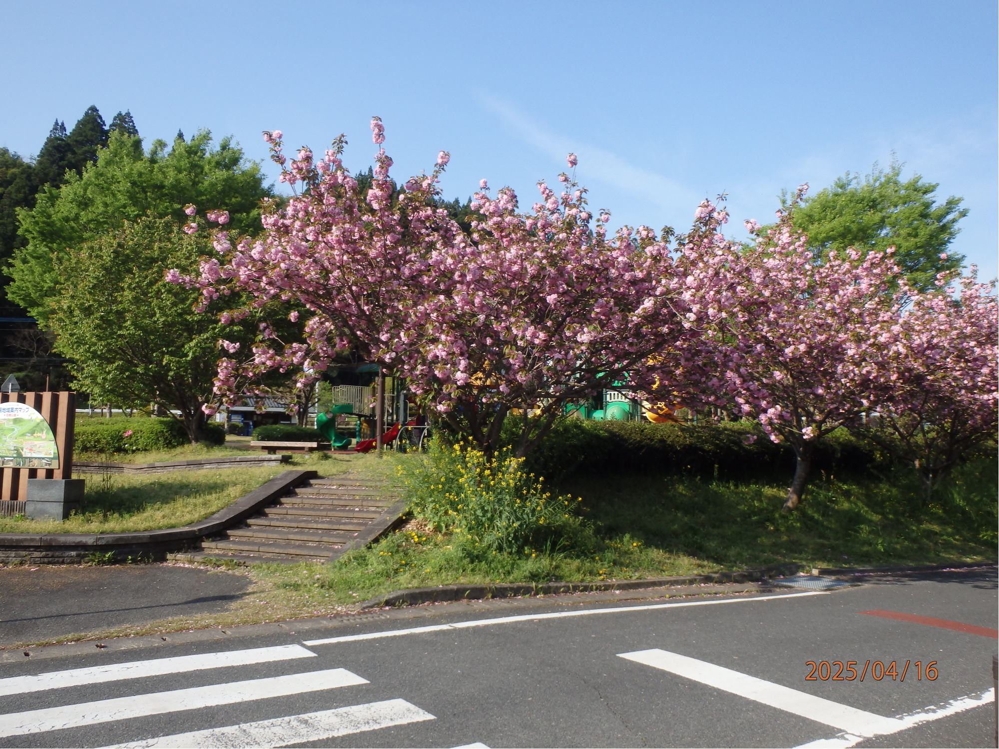 あんな本こんな本、車旅、戸惑い続く九州車旅、道の駅東陽