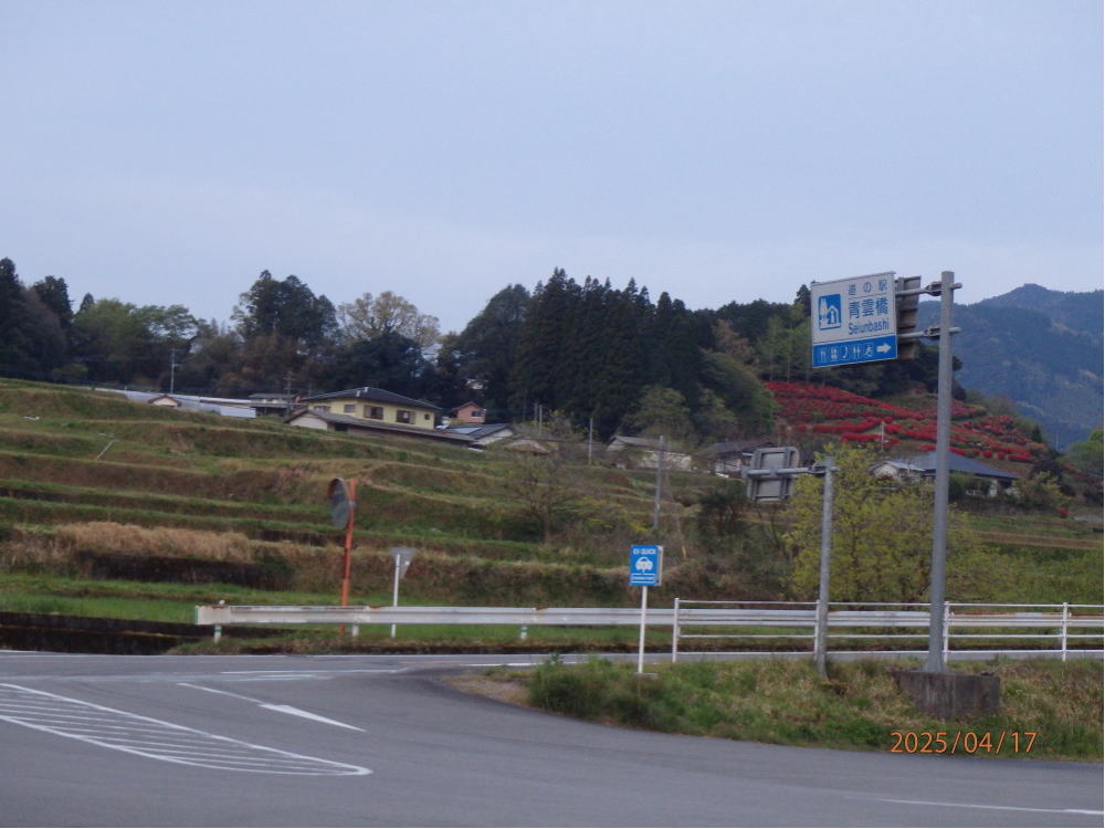 あんな本こんな本、車旅、戸惑い続く九州車旅、道の駅青雲橋