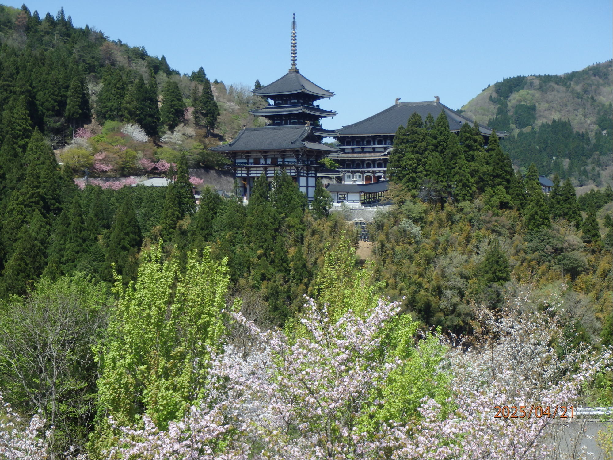 あんな本こんな本、車旅、戸惑い続く九州車旅、但馬大仏、長楽寺,